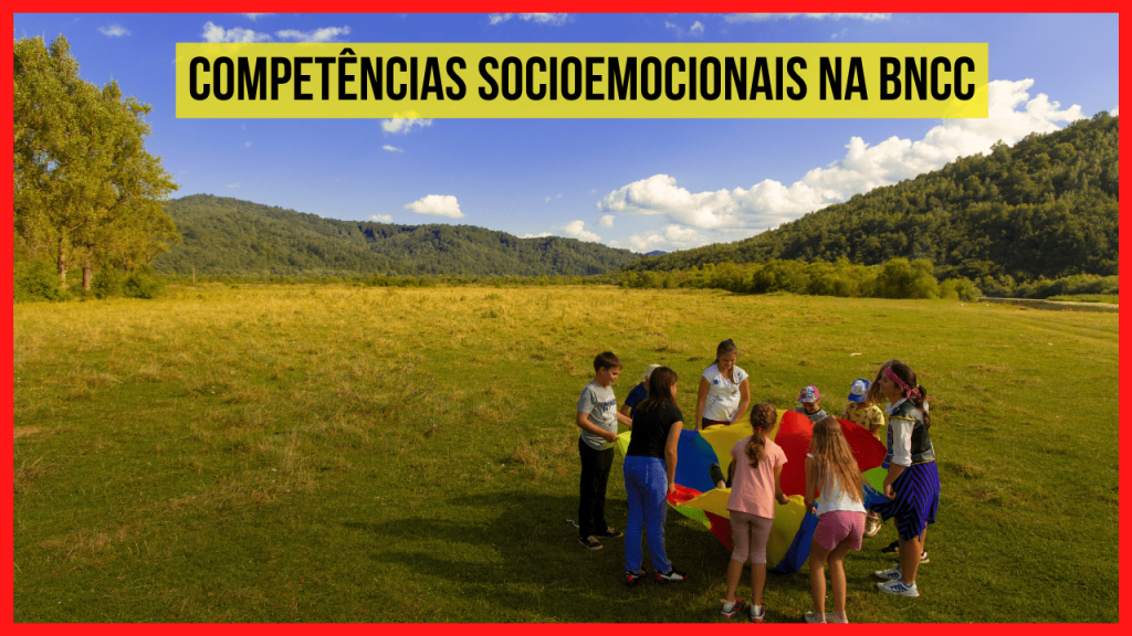 Competências socioemocionais na Base Nacional Comum Curricular (BNCC)