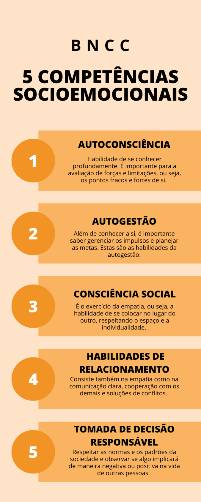 Entenda as 5 competências socioemocionais da BNCC