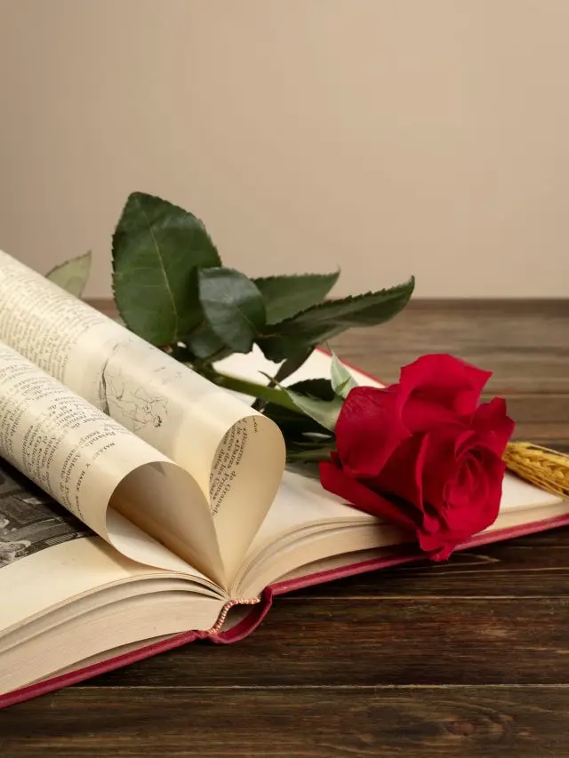 still-life-sant-jordi-day-books-roses