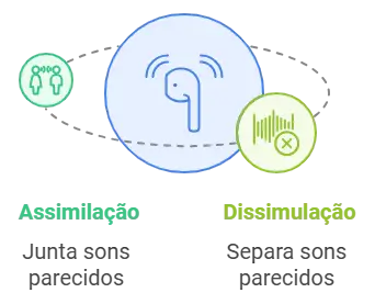 Entenda os processos fonológicos de assimilação e dissimulação.